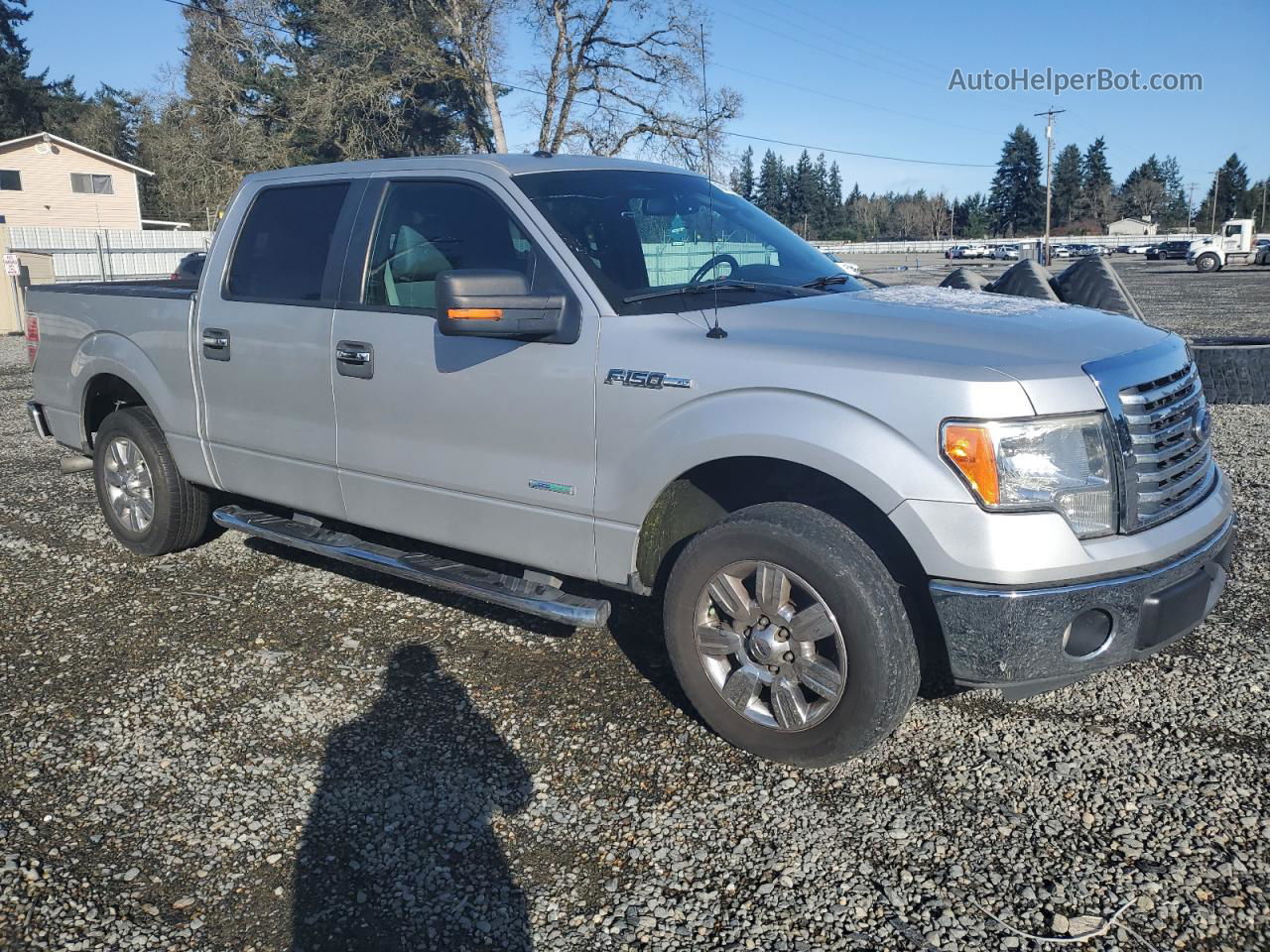 2011 Ford F150 Supercrew Silver vin: 1FTFW1CT4BFB80474