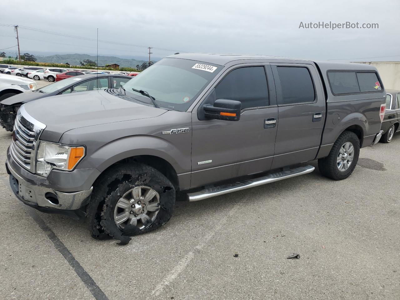 2011 Ford F150 Supercrew Gray vin: 1FTFW1CT5BKD93800