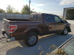 2011 Ford F150 Supercrew Коричневый vin: 1FTFW1CT6BFB24083