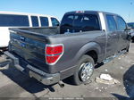 2014 Ford F-150 Xlt Gray vin: 1FTFW1CT6EKD45517