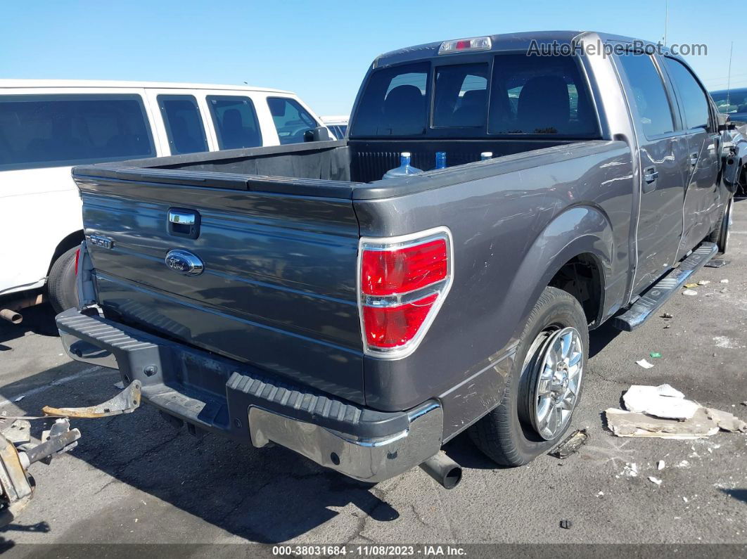 2014 Ford F-150 Xlt Gray vin: 1FTFW1CT6EKD45517