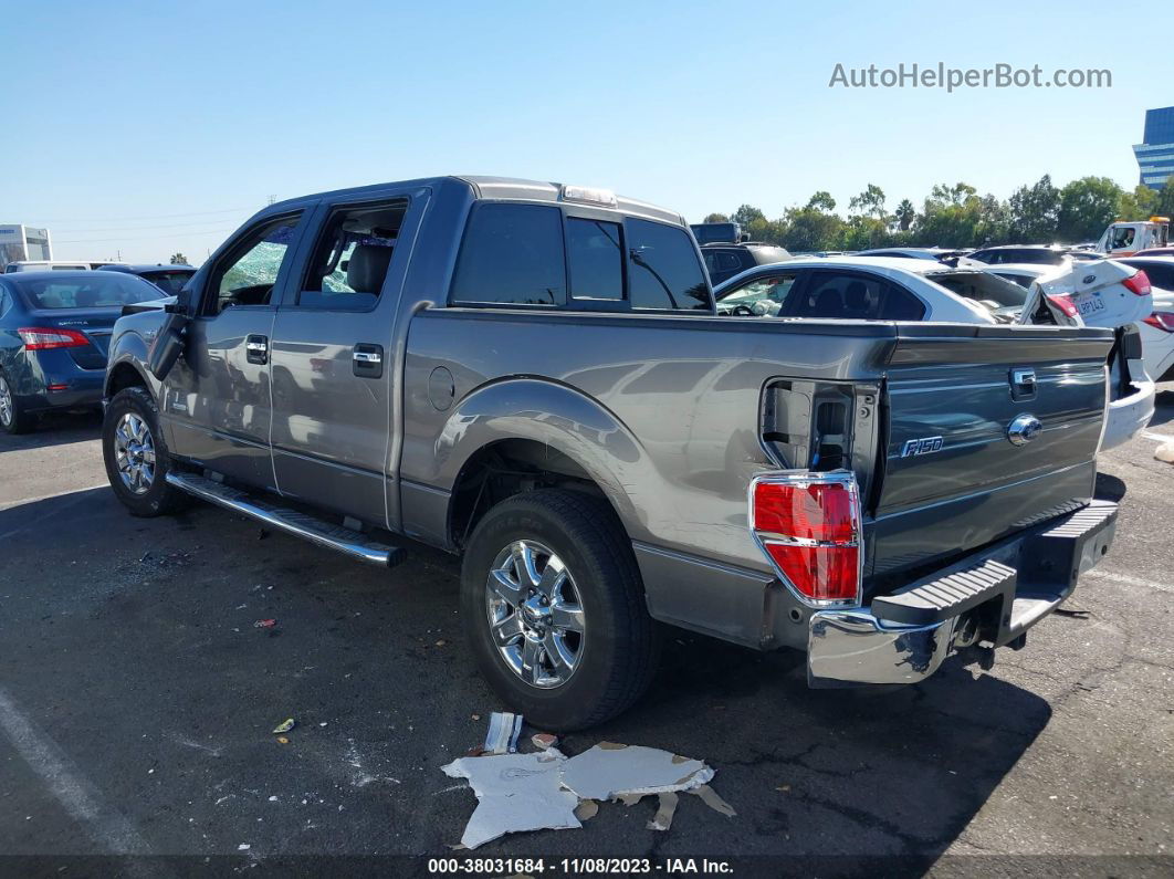 2014 Ford F-150 Xlt Gray vin: 1FTFW1CT6EKD45517