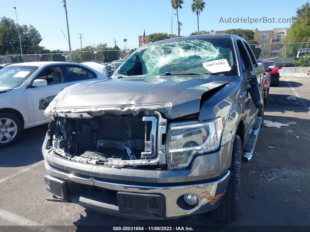 2014 Ford F-150 Xlt Gray vin: 1FTFW1CT6EKD45517