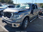 2014 Ford F-150 Xlt Gray vin: 1FTFW1CT6EKD45517