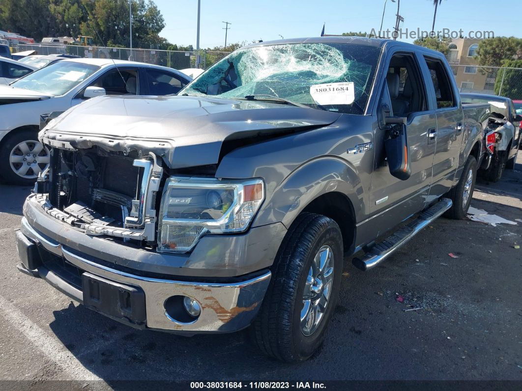 2014 Ford F-150 Xlt Gray vin: 1FTFW1CT6EKD45517