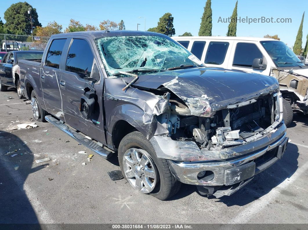 2014 Ford F-150 Xlt Gray vin: 1FTFW1CT6EKD45517