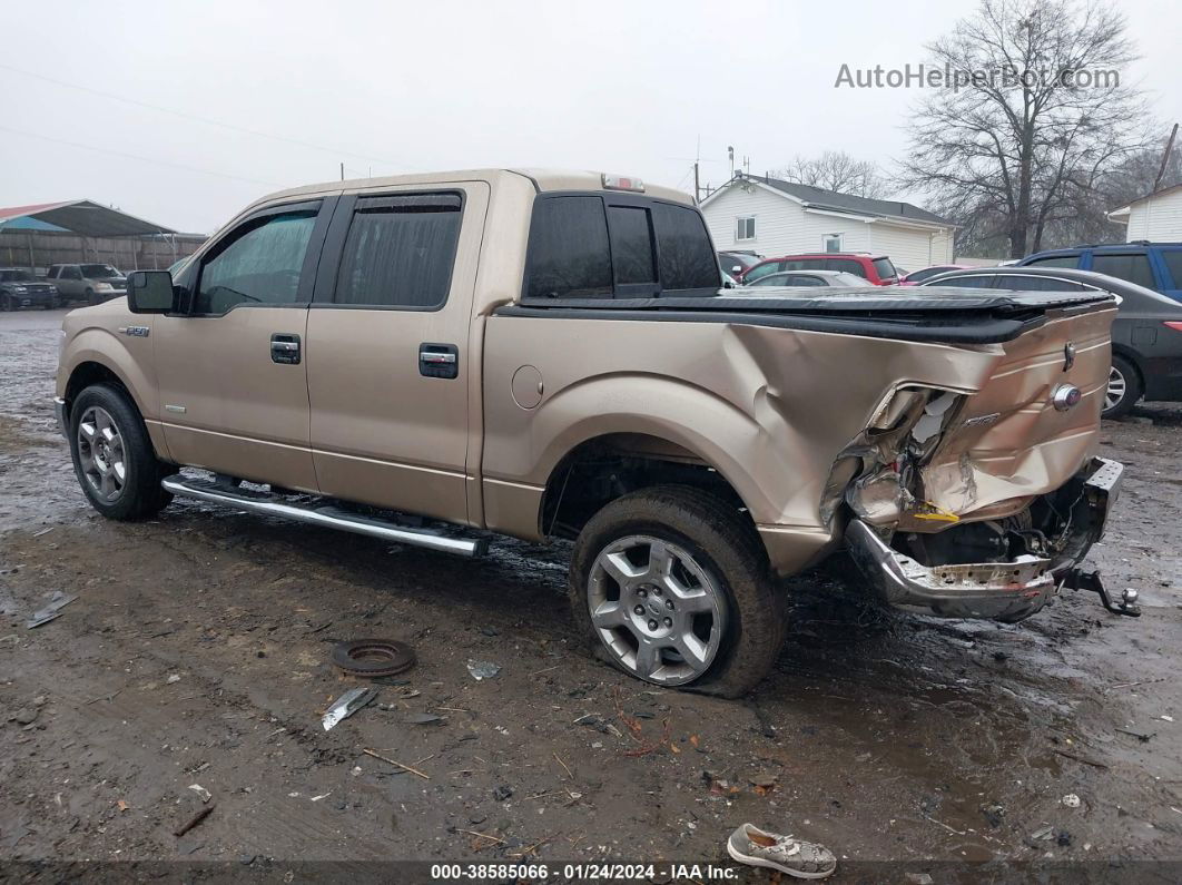 2014 Ford F-150 Xlt Champagne vin: 1FTFW1CT7EKF43653