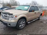 2014 Ford F-150 Xlt Champagne vin: 1FTFW1CT7EKF43653