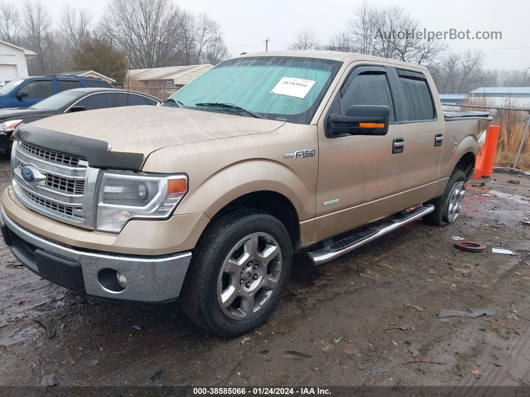 2014 Ford F-150 Xlt Champagne vin: 1FTFW1CT7EKF43653