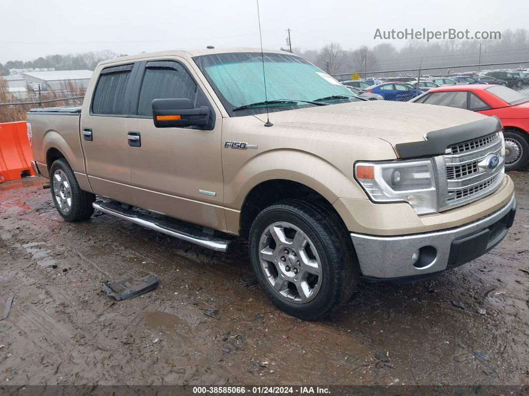 2014 Ford F-150 Xlt Champagne vin: 1FTFW1CT7EKF43653