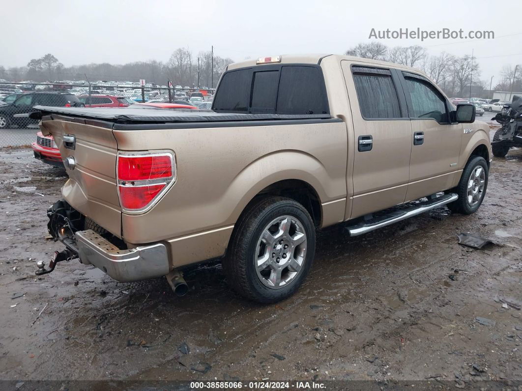 2014 Ford F-150 Xlt Champagne vin: 1FTFW1CT7EKF43653