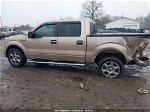 2014 Ford F-150 Xlt Champagne vin: 1FTFW1CT7EKF43653