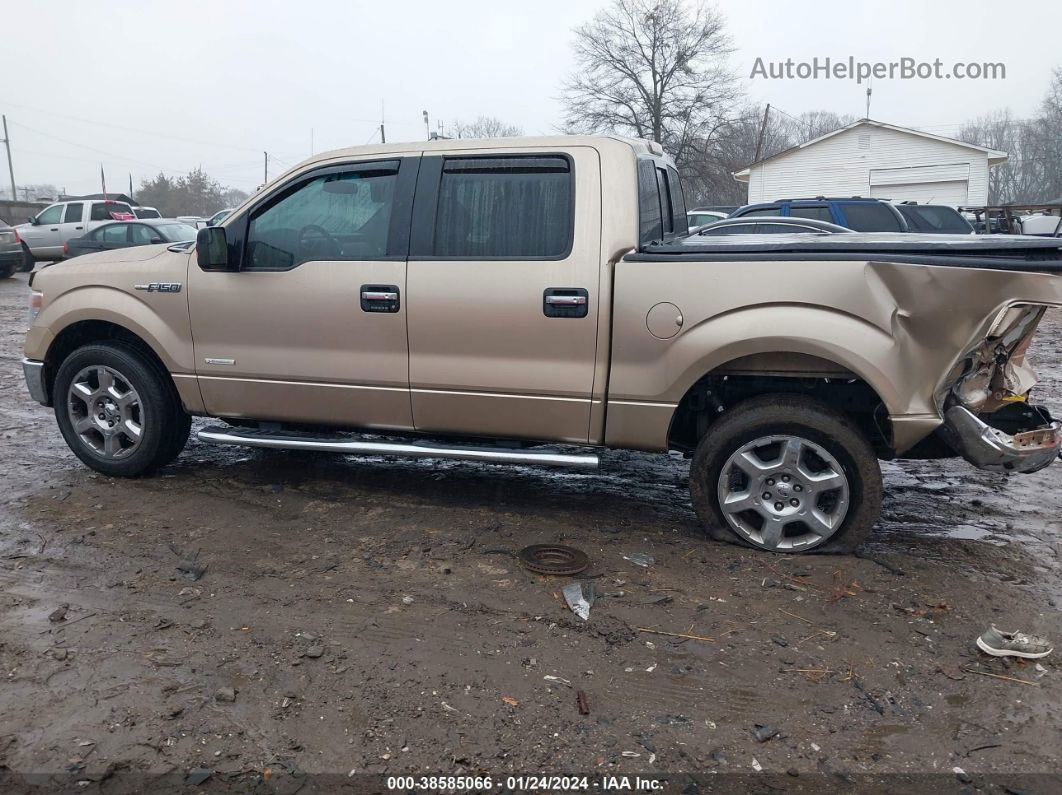 2014 Ford F-150 Xlt Champagne vin: 1FTFW1CT7EKF43653