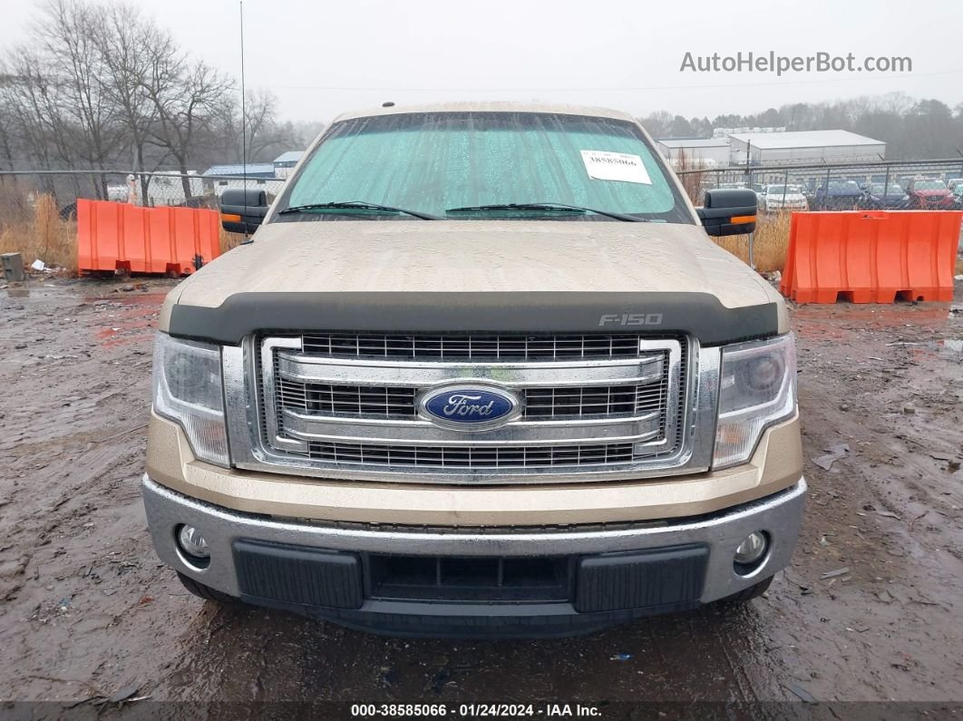 2014 Ford F-150 Xlt Champagne vin: 1FTFW1CT7EKF43653