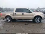 2014 Ford F-150 Xlt Champagne vin: 1FTFW1CT7EKF43653