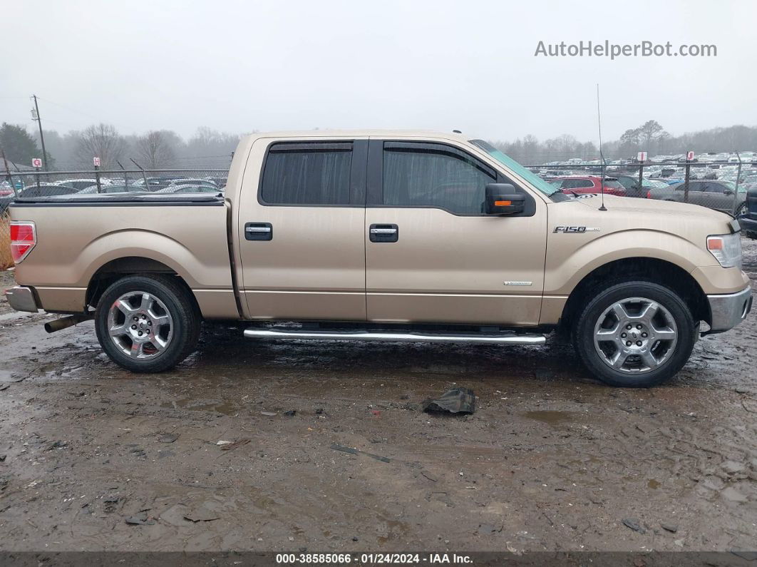 2014 Ford F-150 Xlt Champagne vin: 1FTFW1CT7EKF43653