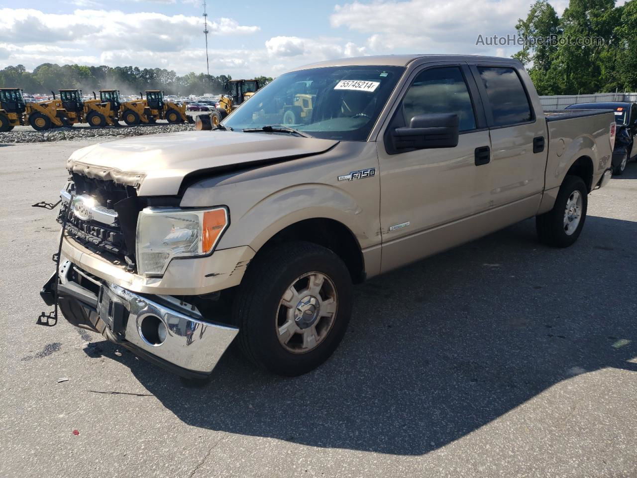 2011 Ford F150 Supercrew Gold vin: 1FTFW1CT8BKE08354