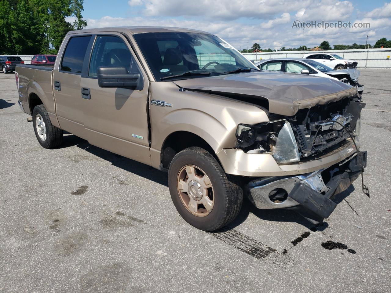 2011 Ford F150 Supercrew Gold vin: 1FTFW1CT8BKE08354