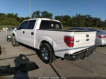 2014 Ford F-150 Xlt White vin: 1FTFW1CT9EKG42412