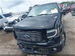 2010 Ford F-150 Fx2 Sport/harley-davidson/king Ranch/lariat/platinum/xl/xlt Black vin: 1FTFW1CV0AKE12866