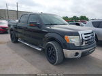 2010 Ford F-150 Fx2 Sport/harley-davidson/king Ranch/lariat/platinum/xl/xlt Черный vin: 1FTFW1CV1AFB96065