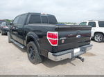 2010 Ford F-150 Fx2 Sport/harley-davidson/king Ranch/lariat/platinum/xl/xlt Black vin: 1FTFW1CV1AFB96065