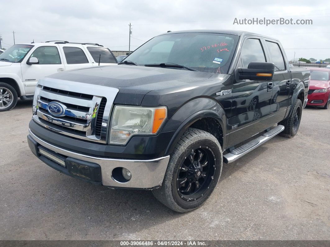 2010 Ford F-150 Fx2 Sport/harley-davidson/king Ranch/lariat/platinum/xl/xlt Черный vin: 1FTFW1CV1AFB96065