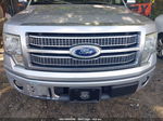 2010 Ford F-150 Fx2 Sport/harley-davidson/king Ranch/lariat/platinum/xl/xlt Silver vin: 1FTFW1CV1AFC81360