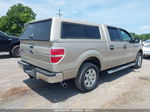 2010 Ford F-150 Fx2 Sport/harley-davidson/king Ranch/lariat/platinum/xl/xlt Gold vin: 1FTFW1CV2AFD23048