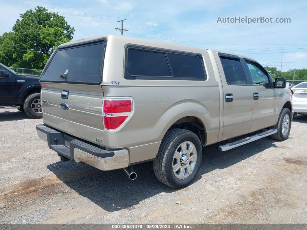 2010 Ford F-150 Fx2 Sport/harley-davidson/king Ranch/lariat/platinum/xl/xlt Gold vin: 1FTFW1CV2AFD23048