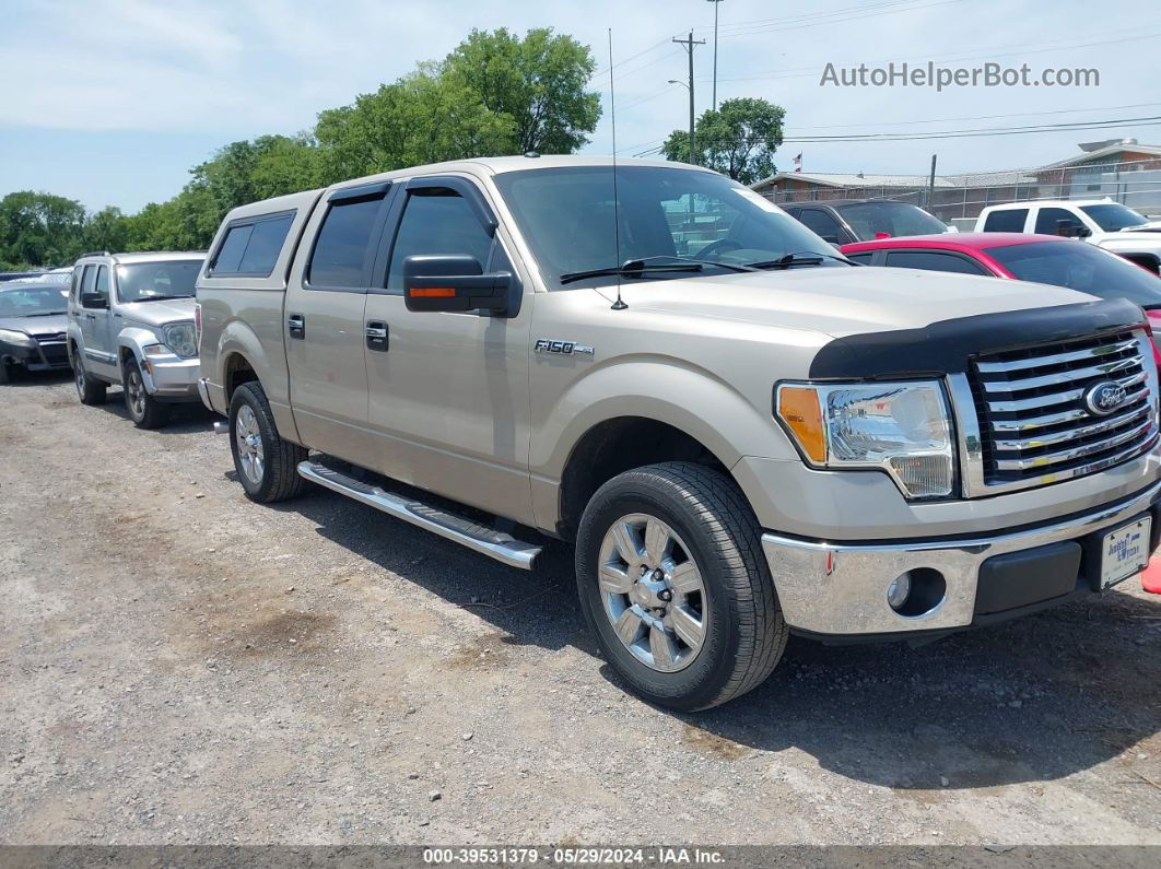 2010 Ford F-150 Fx2 Sport/harley-davidson/king Ranch/lariat/platinum/xl/xlt Gold vin: 1FTFW1CV2AFD23048