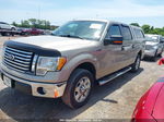 2010 Ford F-150 Fx2 Sport/harley-davidson/king Ranch/lariat/platinum/xl/xlt Gold vin: 1FTFW1CV2AFD23048