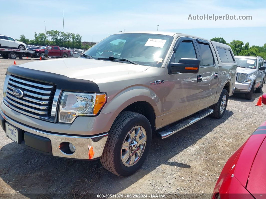 2010 Ford F-150 Fx2 Sport/harley-davidson/king Ranch/lariat/platinum/xl/xlt Gold vin: 1FTFW1CV2AFD23048