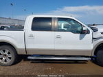 2010 Ford F-150   Белый vin: 1FTFW1CV2AKE25831