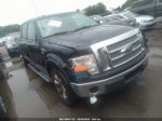 2010 Ford F-150 Xl/xlt Black vin: 1FTFW1CV4AFA94677