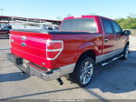 2010 Ford F-150 Fx2 Sport/harley-davidson/king Ranch/lariat/platinum/xl/xlt Красный vin: 1FTFW1CV4AFB24955