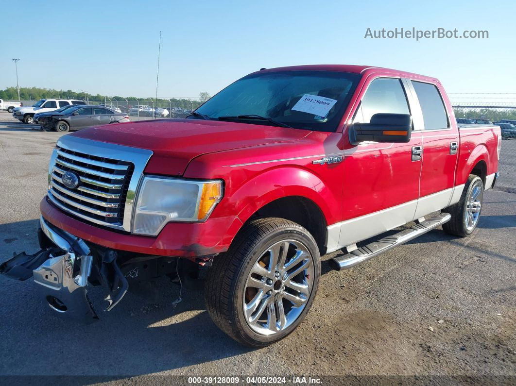 2010 Ford F-150 Fx2 Sport/harley-davidson/king Ranch/lariat/platinum/xl/xlt Красный vin: 1FTFW1CV4AFB24955