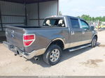 2010 Ford F-150 Fx2 Sport/harley-davidson/king Ranch/lariat/platinum/xl/xlt Серый vin: 1FTFW1CV4AFB28956