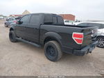 2010 Ford F-150 Xl/xlt Black vin: 1FTFW1CV4AKE36524