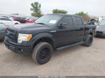 2010 Ford F-150 Xl/xlt Black vin: 1FTFW1CV4AKE36524