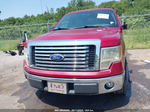 2010 Ford F-150 Fx2 Sport/harley-davidson/king Ranch/lariat/platinum/xl/xlt Red vin: 1FTFW1CV5AFC44649