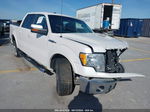 2010 Ford F-150 Fx2 Sport/harley-davidson/king Ranch/lariat/platinum/xl/xlt White vin: 1FTFW1CV5AFD87536