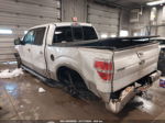 2010 Ford F-150 Lariat/xl/xlt White vin: 1FTFW1CV6AFA35131