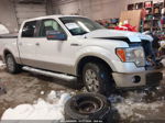 2010 Ford F-150 Lariat/xl/xlt White vin: 1FTFW1CV6AFA35131