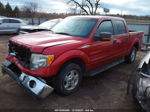 2010 Ford F-150 Lariat/xl/xlt Red vin: 1FTFW1CV7AKB36864