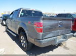 2010 Ford F-150 Fx2 Sport/harley-davidson/king Ranch/lariat/platinum/xl/xlt Green vin: 1FTFW1CV7AKE15280