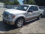 2010 Ford F-150 Xl/xlt White vin: 1FTFW1CV7AKE34279