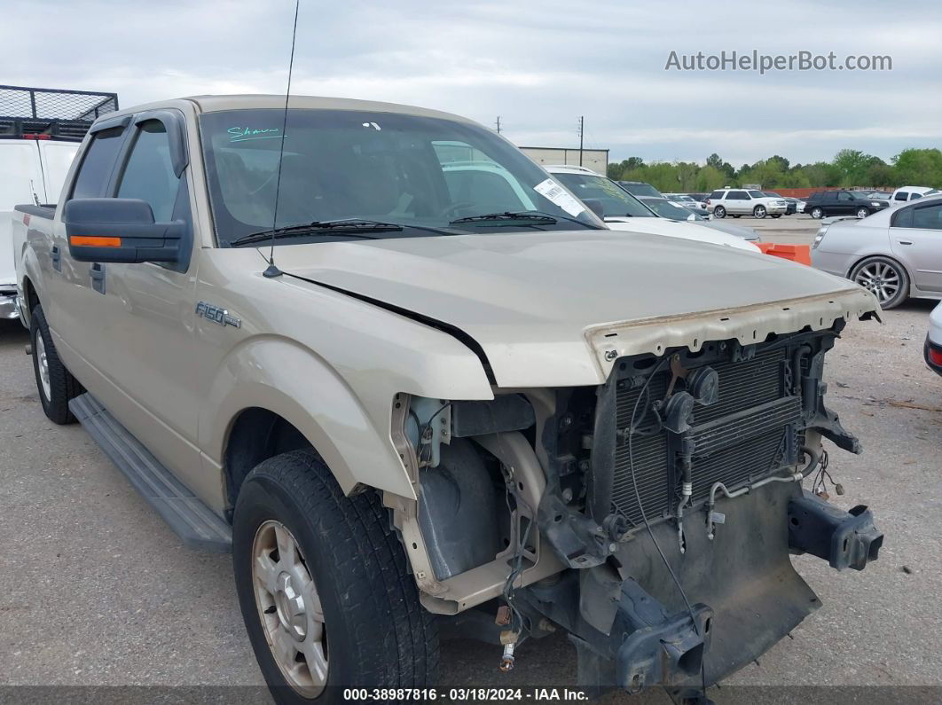 2010 Ford F-150 Fx2 Sport/harley-davidson/king Ranch/lariat/platinum/xl/xlt Beige vin: 1FTFW1CV8AKE18754