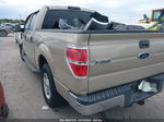 2010 Ford F-150 Fx2 Sport/harley-davidson/king Ranch/lariat/platinum/xl/xlt Beige vin: 1FTFW1CV8AKE18754