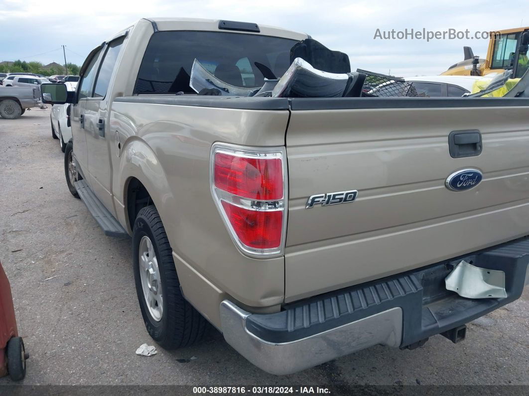 2010 Ford F-150 Fx2 Sport/harley-davidson/king Ranch/lariat/platinum/xl/xlt Beige vin: 1FTFW1CV8AKE18754